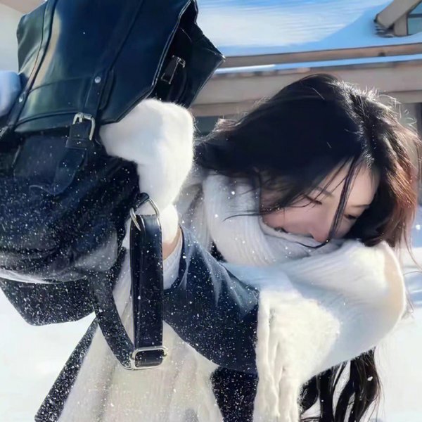 小象守护者